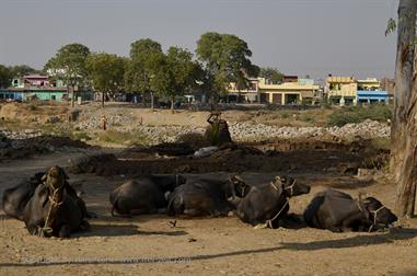 03 PKW-Reise_Fatehpur_Sikri-Agra_DSC5498_b_H600